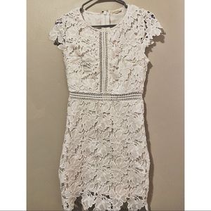 Main Strip Lace Dress
